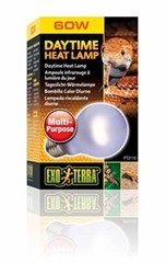 Exo Terra Sun-Glo Neodymium A19 Lamp, 60-Watt (1 Pack) (PT2110)