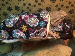 SPANISH SKULLS DESIGN LRG RESTING BED COVER ONLY NO FRAME BED 4 BEARDED DRAGONS