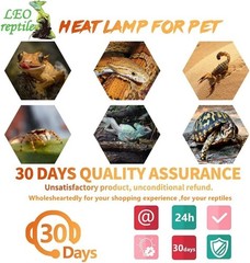 13W UVA/UVB 5.0 Light for Reptiles – Enhanced Health for Chameleons & Tree Frogs