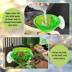 Tfwadmx Chameleon Bowl, Reptile Feeding Feeder,Worm Live Fodder green