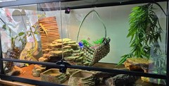 Reptile Tank Accessories 10PCS Hammock Bridge Plants Vines Terrarium Decor for D