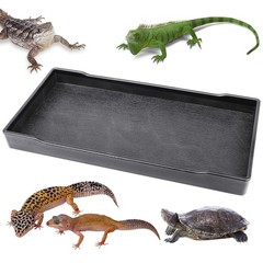 Reptile Food Water Bowl Plate Dish for Tortoise Crawl Pet Drinking Eating Small