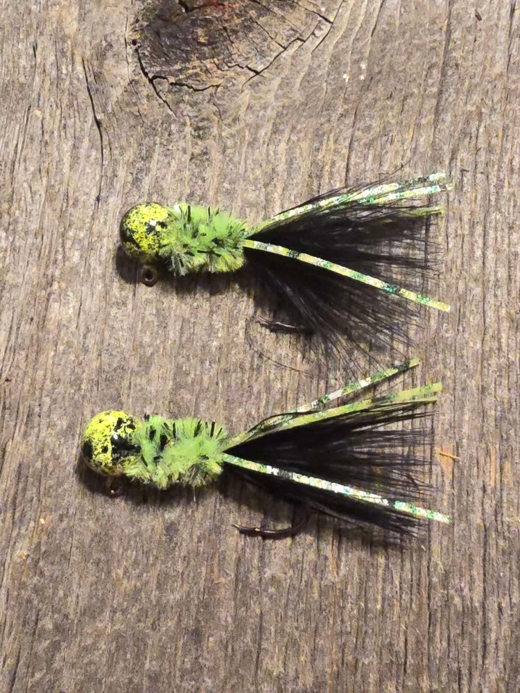 Reptile 2 pack