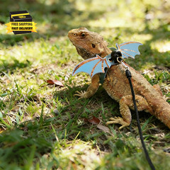 Bearded Dragon Reptile Harness and Leash Set, 3 Adjustable Sizes Dragon Wing Des