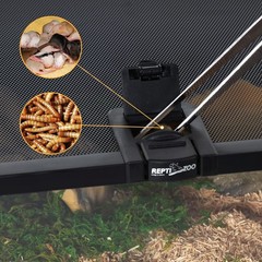 REPTIZOO Small Reptile Tank 20″ x 12″ x 6″ Glass Reptile Terrarium with Top F…