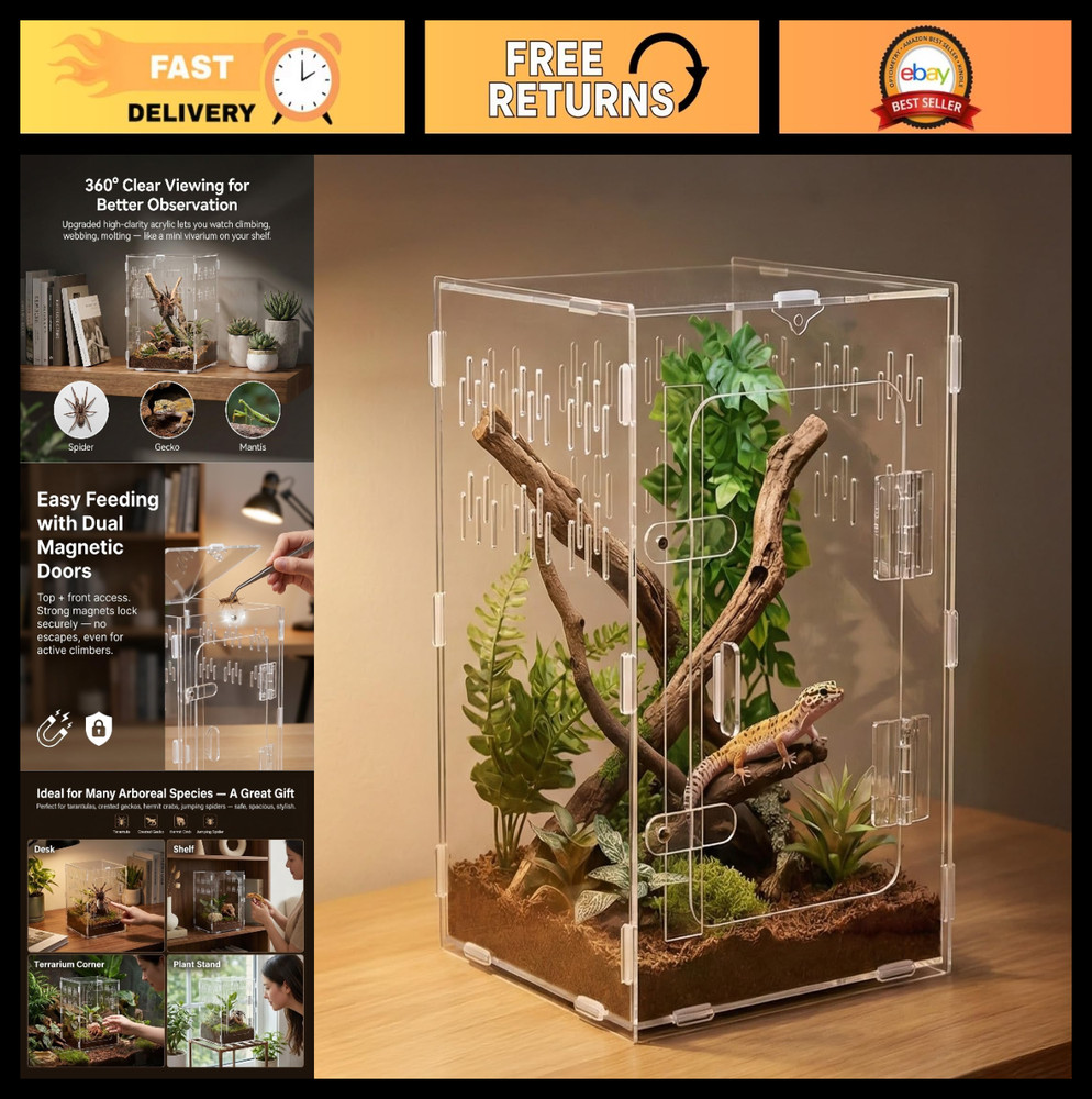 Acrylic Tarantula Enclosure 8x8x12 – Front Opening Terrarium with Lock, Ventilat