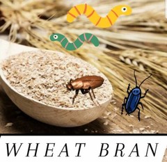 Wheat Bran Bedding Gut-Load for Superworms, Mealworms, Crickets, Dubia Roaches!!