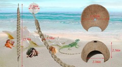 Hodpyihc 2PCS Hermit Crab Accessories，25.9inx1.58in Reptile Climbing Rope，Nat…