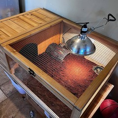 Indoor Tortoise House Habitat Reptile Cage Outdoor for Turtles Lizards Snakes