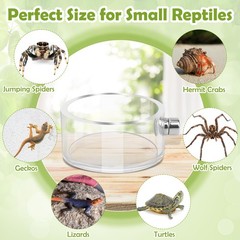 6 PCS Jumping Spider Feeding Dish Set, 2 PCS Magnetic Food Dish for Jumping S…