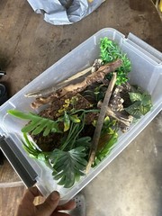 Reptile Tank Starter Kit – Suitable for Small Reptiles Such as Geckos, Snakes