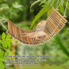 Reptile Climbing Bridge Bamboo Lizard Ladder Bridge Bearded Dragon Hammock