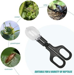 2Pcs Stainless Steel Feeding Tongs Reptile Feeding Tweezers Long Handle Feeder