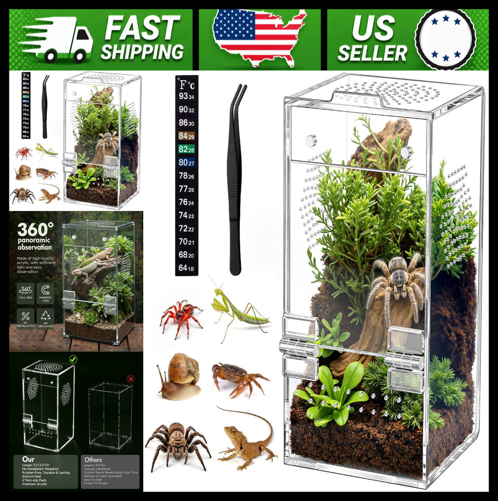Pre-Assembled Jumping Spider Enclosure