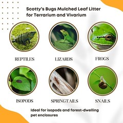 SCOTTY’S BUGS Mulched Leaf Litter for Reptiles, Isopods Live & 12oz, Brown