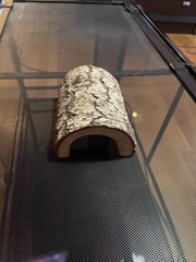 50 gallon reptizoo terrarium, good condition, 36″ x 18″ x 18″, cleaned