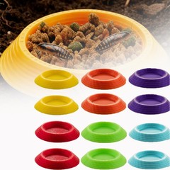 Small Invertebrate Feeding Dish – Cockroach Bowl, Ideal for Tiny Insect Pets