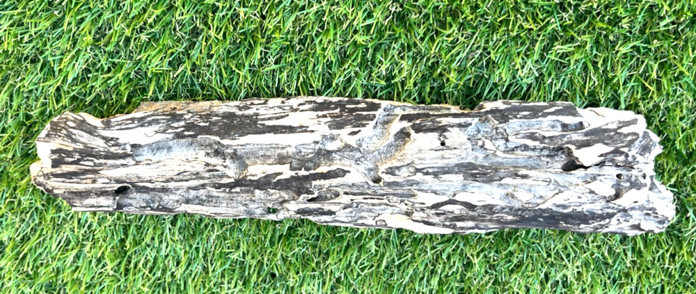 Natural Driftwood for Fish & Reptile Aquariums, Crafts, Landscapes, Decor 12x3x2