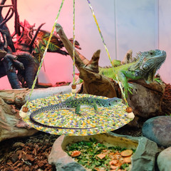 Bearded Dragon Bed, Large Reptile Hammock for Lizard Cage, Gecko & Chameleon Acc