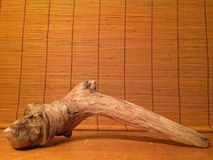 Beautiful 12″ DRIFTWOOD Piece Art Terrarium Taxidermy Aquarium Reptile DECOR