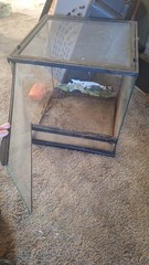 18×18×18 Glass Tank Enclosure Mesh Screen Top Lid And Front Access Door