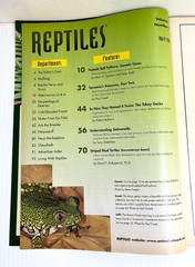 REPTILES MAGAZINE: BREEDING PIEBALD BALL PYTHONS, ETC; APRIL 1999