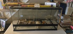 Reptile Tank & Accessories