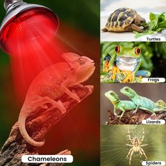 Heat Lamp for Chickens Coop Brooder and Reptile Heat Bulb 150 Watt Infrared R…