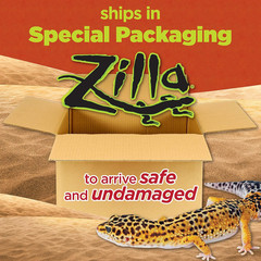 10 Gallon Pet Reptile Starter Habitat Kit with Light and Heat for Small Tropical