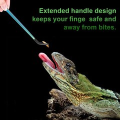 3 Pcs Colorful Stainless Steel Reptile Feeding Tongs Set