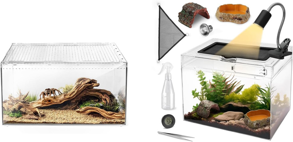 Reptile Terrarium Tank and Reptile Tank 15X8X10In Versatile Enclosure for Leopar