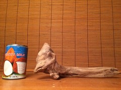 Beautiful 12″ DRIFTWOOD Piece Art Terrarium Taxidermy Aquarium Reptile DECOR