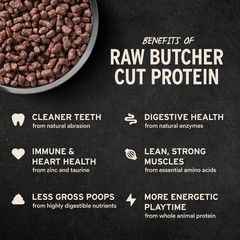 Vital Essentials Freeze Dried Cat Food, Raw Duck Crunchy Mini Nibs | Complete…