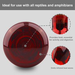 Aiicioo Reptile Red Night Light Bulb – 75W Reptile Heat Lamp Bulb Infrared Baski
