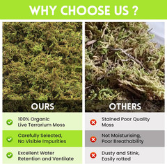 1.3LB Premium Sphagnum Moss for Reptiles- 50QT Natural Live Moss Reptile Moss Be