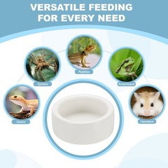 Reptile Food Bowl Worm Water Dish Ceramic Pet Bowl Small 4″ White