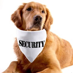 2 Pack Security Dog Bandana, Guard Dog Scarf, Over The Collar, Pet Accessory