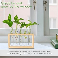 15Pcs Clear Test Tubes for Plant, 20ml Plant Propagation Tube with Brush, Pla…