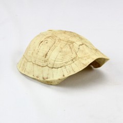 1pc Resin Emulational Turtle Shell Reptile Hide Rest Cave Pet Habitat Ornament