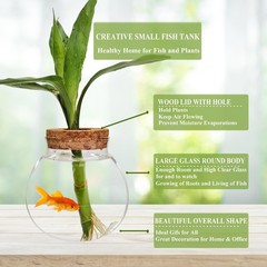 Small Betta Fish Tank Glass Fish Bowls for Betta Fish Goldfish, Aquaponic Fis…