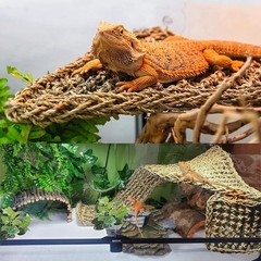 10Pcs Bearded Dragon Tank Accessories, Reptile Hammock Terrarium Plants Jungl…