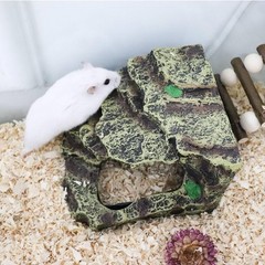Hermit Crab Hideout Resin Simulation Stone Reptile Cave Hideout Hermit Crab