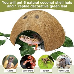 Reptile Hideouts 7 Pcs Coconut Shells 4.5″ Diameter for Gecko Lizard – Natural