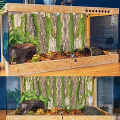 PINVNBY Cork Terrarium Background,Reptile Bark Backdrop Wall Decor and Artifi…