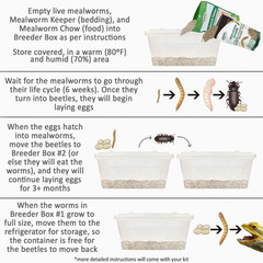 Mealworm Breeder Kit (Expanded) – Breed Live Feeder Worms for Hedgehogs, Sugar G