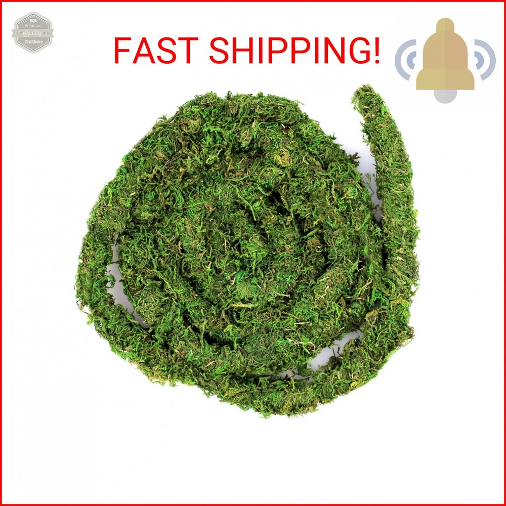 Galápagos (05266) MossVine, Real Moss Vine, 12FT, Green