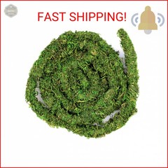 Galápagos (05266) MossVine, Real Moss Vine, 12FT, Green