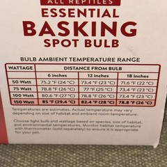 All Reptiles Essential Basking Spot Bulb Incandescent (150 Watt) A World Thrive