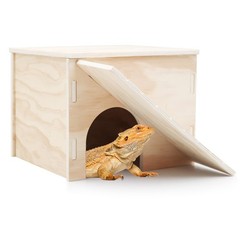 Large Bearded Dragon Hide Cave, Wooden Lizard Hideout with Climbing Ramp, Rep…
