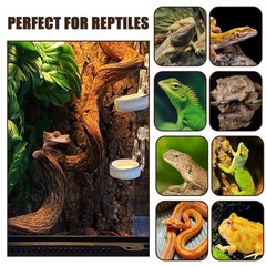 BNOSDM 3PCS Natural Reptile Climbing Branches Decor,0.8-1.2″ Thick Snake Clim…
